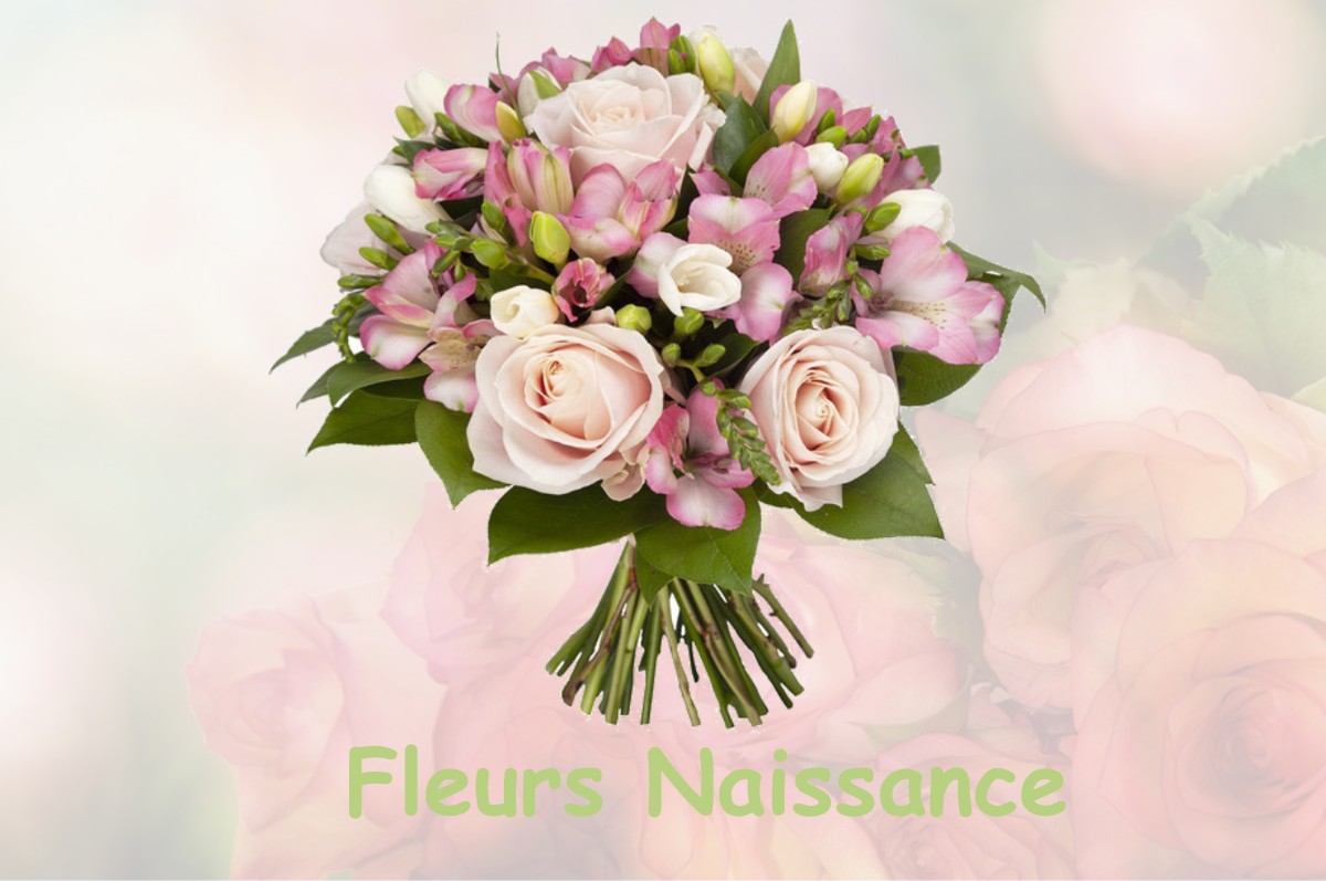 fleurs naissance LAVANS-SUR-VALOUSE