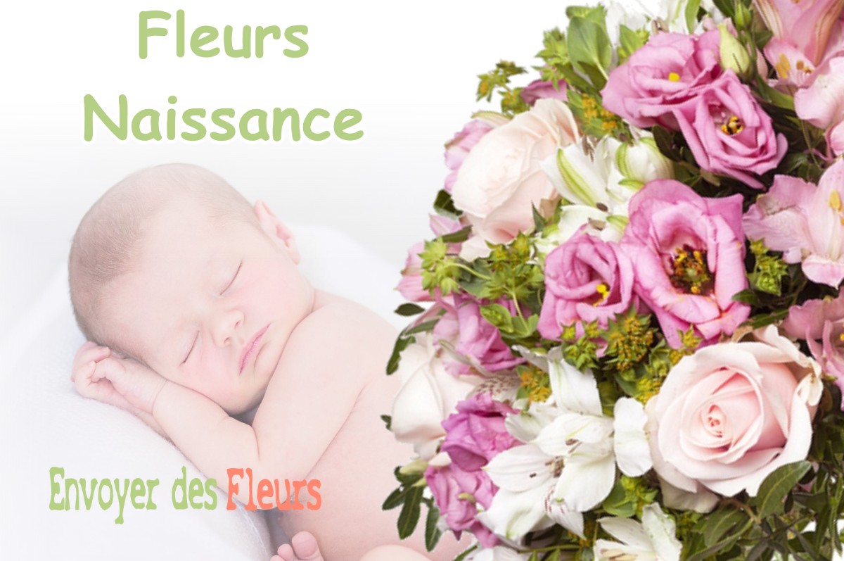 lIVRAISON FLEURS NAISSANCE à LAVANS-SUR-VALOUSE